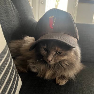 mareautech_'s profile picture. Big profit with Ethereum in 2021. Passionné par la finance et les cryptos , je vise une carrière en finance de marché pour laisser ma marque dans ce secteur!