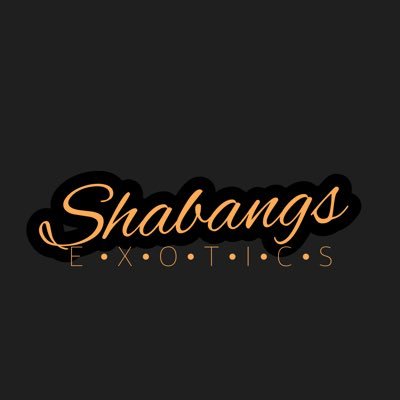 ShabangsExotics Profile Picture