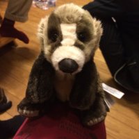 なみかわ (@namimashimashi) 's Twitter Profile Photo
