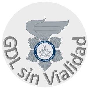 GdlsinVialidad Profile Picture