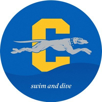 carmel_swimming Profile Picture