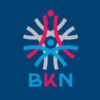 #SatuDataASN (@bkngoid) 's Twitter Profile Photo