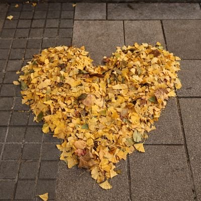 mitsucame's profile picture. カメラが趣味だが上達しない永遠の初心者。
温かい目で見ていただければ嬉しいです。
Instagramでもポストしてますので、同じ内容をポストすることもあります。
📸Canon EOS R6 Mark II