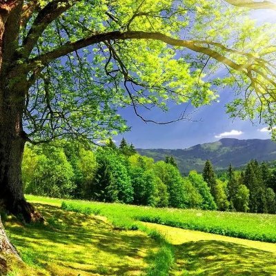 bitscan_top's profile picture. 