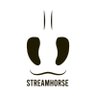 StreamHorseTV's profile picture. follow @streamhorsetv 🐴 the coolest content for people who ❤️ horses‼️ click below to enter the streamhorse world 🌎 👇