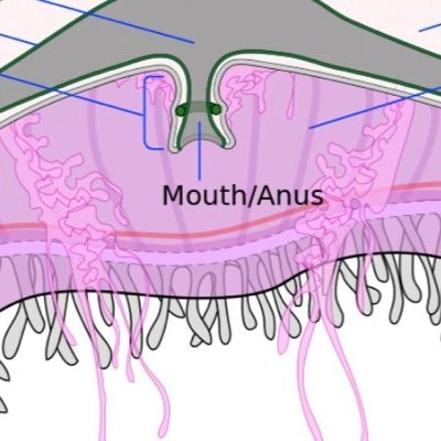 structure_uk's profile picture. 