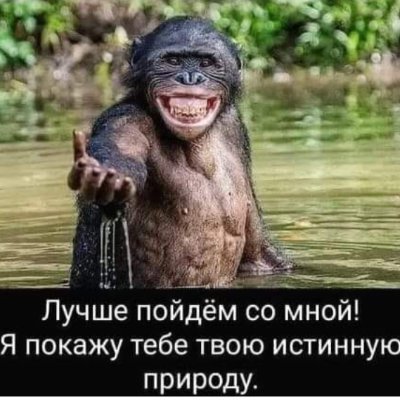 williammitch11's profile picture. 