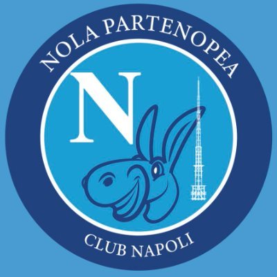 NolaPartenopea's profile picture. Profilo ufficiale del Club Napoli Nola Partenopea!