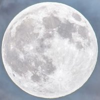 Propolitics Zone (@propoliticszone) 's Twitter Profile
