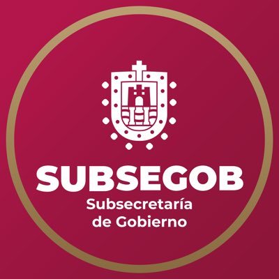 VERSubsegob's profile picture. Cuenta Oficial de la Subsecretaría de Gobierno del Estado de Veracruz. 📩 contactosubsegob@gmail.com