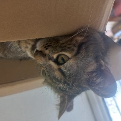 2x3_2x3_2x3's profile picture. 