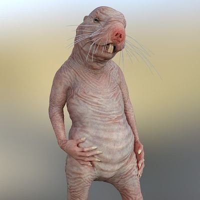 x69x6_9x69x's profile picture. xXx69xXx