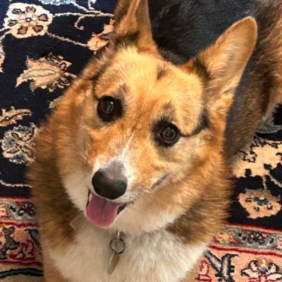 ThompsonJa65012's profile picture. 