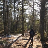 Catherine Bannon (@bannoncat) 's Twitter Profile Photo