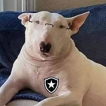 o meu sangue ferve por você (de ódio)
@botafogo @fcstpauli
PRESIDENTE DO FÃ CLUBE DO TIQUINHO SOARES
#CadeiaNoBolsonaro
Go Pack Go!