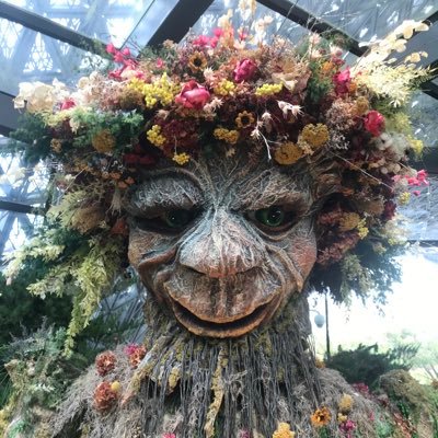 madzdan23's profile picture.