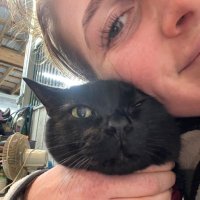 panther stan account (@maresarebetter) 's Twitter Profile
