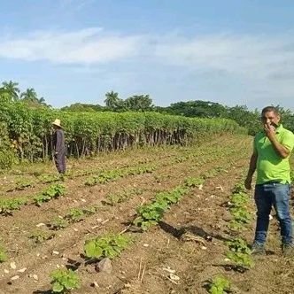 YoneisisJunco's profile picture. La PATRIA ante todo