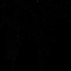 wolfputao's profile picture. 