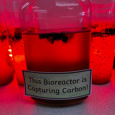 MyCli1's profile picture. We aim to deliver the largest ever Climate change awareness programme for Children