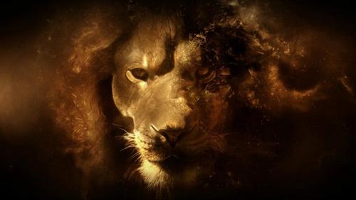 unityisstrength's profile picture. Loyal to those loyal to me.