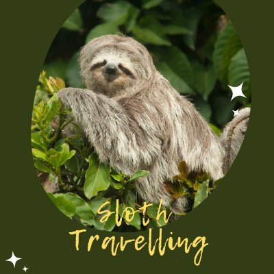 Slothtravelling Profile Picture
