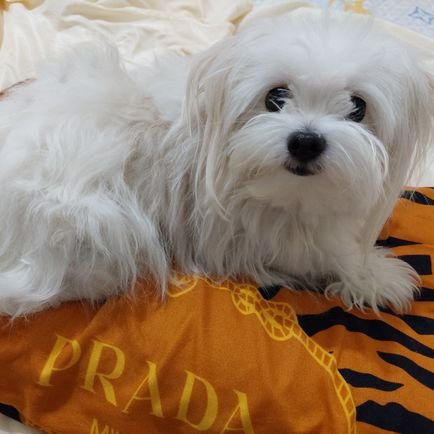 sunshobe53463's profile picture. 