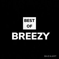 best of breezy.(@BestOfBreezyy) 's Twitter Profile Photo