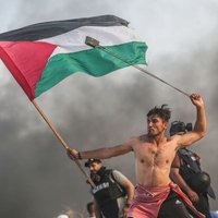 محمد احمد (@zake166) 's Twitter Profile