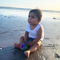@Samuel06871776 (@samuel068717761) 's Twitter Profile