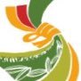 ITS (@turfsociety) 's Twitter Profile