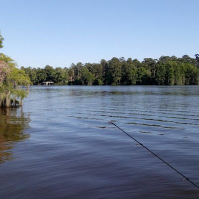 spillthetea229's profile picture. 