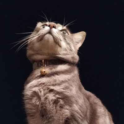 kilefant's profile picture. 