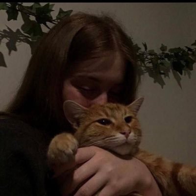 Bdalal222's profile picture. 