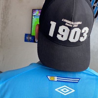 Grêmio e nada mais