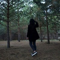 Jerri (@jerri434016) 's Twitter Profile