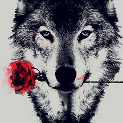 blackwolf_eth's profile picture. 何事も成功するまでは不可能に思えるものである。