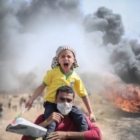 Dark Air 🇵🇸🔻🔻🔻🔻 (@darker_air) 's Twitter Profile Photo