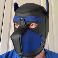 No1_Pup (@no1_pup) 's Twitter Profile Photo No1_Pup (@no1_pup) 's Twitter Profile Photo