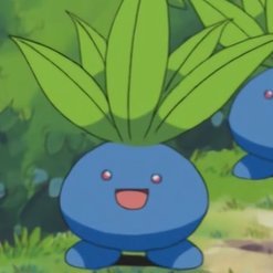 EBL_Oddish Profile Picture