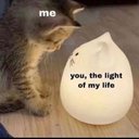 Mary G - @MaryWin56386690 - Twitter