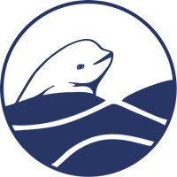 OneWhale(@onewhaleorg) 's Twitter Profile Photo