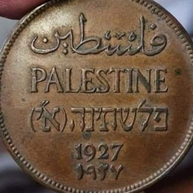 MahmoudAliSEO's profile picture. 