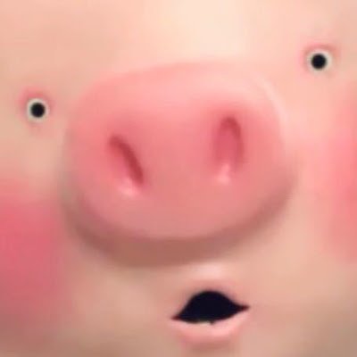 chnynwn1061544's profile picture. 