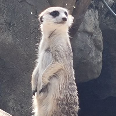 MartCris12's profile picture. 