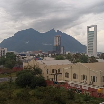 Orgulloso Jarocho 🏴☠️, apasionado por los Tiburones Rojos y Regio por adopción 🇲🇽