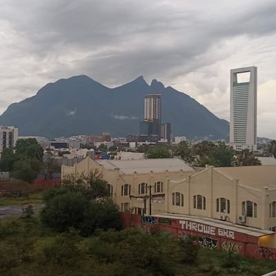 Orgulloso Jarocho 🏴‍☠️, apasionado por los Tiburones Rojos y Regio por adopción 🇲🇽