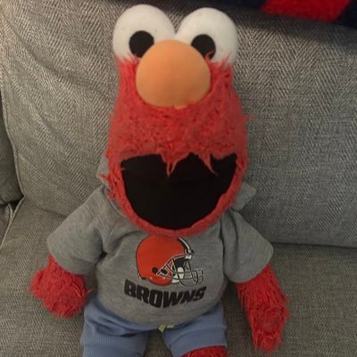 This Is Fake Elmo’s tweeter! Stuffed Elmo has many opinions & you need to hear what Fake Elmo thinks! Stuffed Elmo loves his @browns! Not the real Elmo.