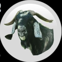 Valhalla Awaits (@_valhallaawaits) 's Twitter Profile