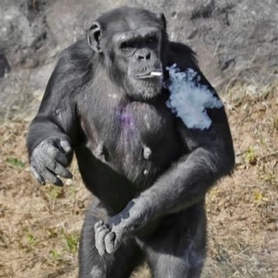 lookwithin153's profile picture. 